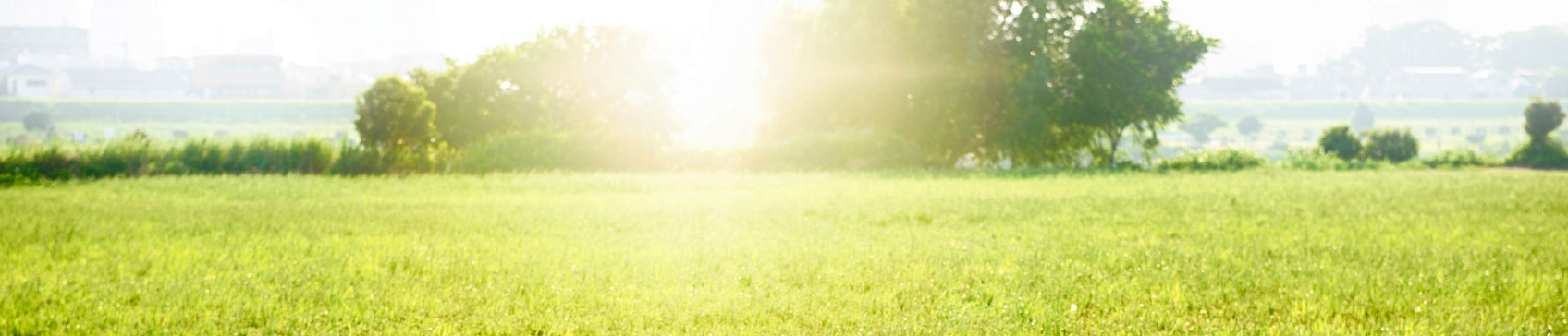 Hard Money Texas Land Loans